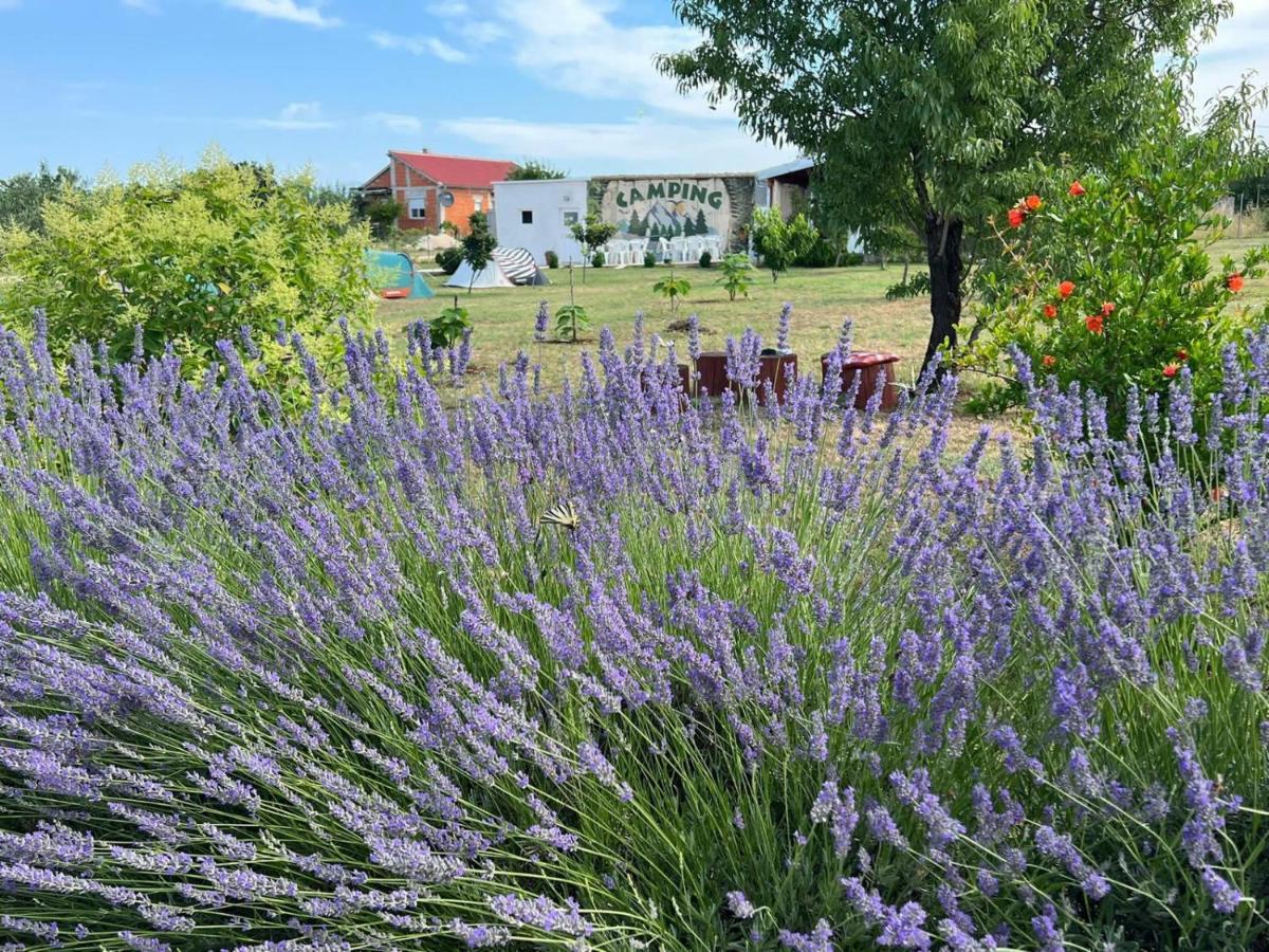 Laste Camping Smokovic